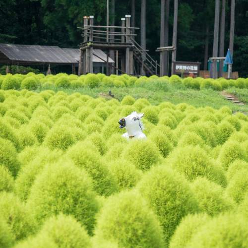 Photo #13597904
