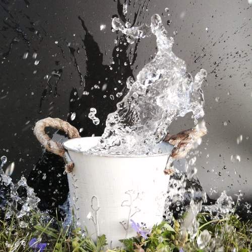 Photo #13597937