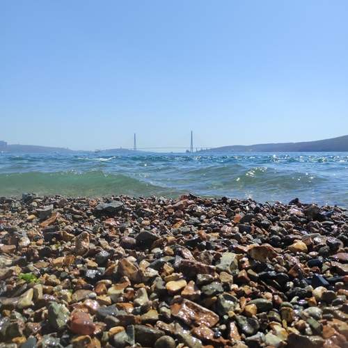 Photo #13597958