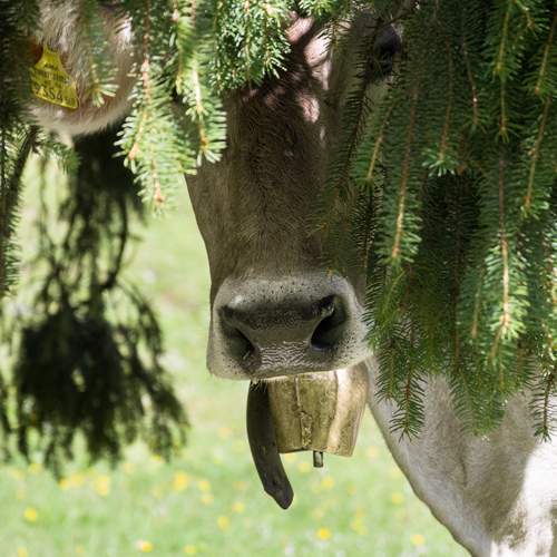 Photo #13597996