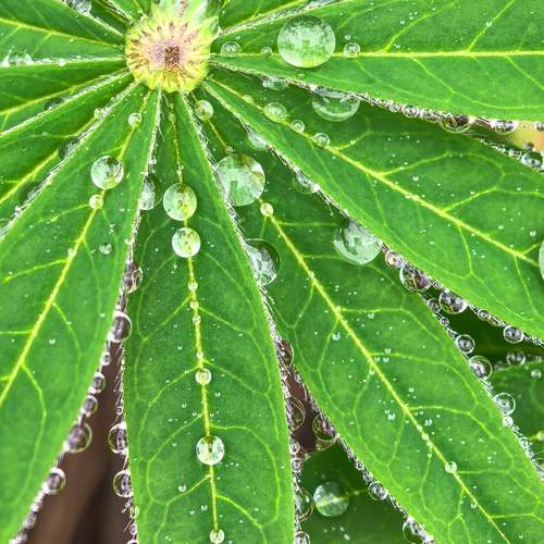 Photo #13598005