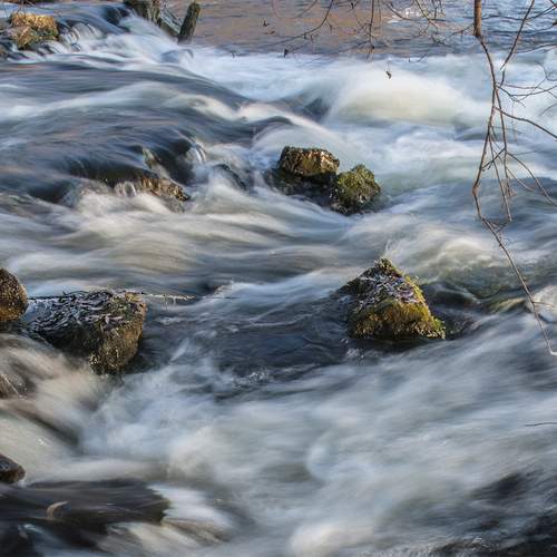 Photo #13598011