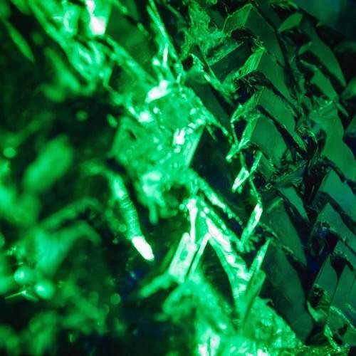 Photo #13598164