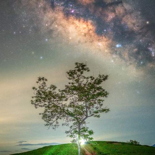 Photo #13598171
