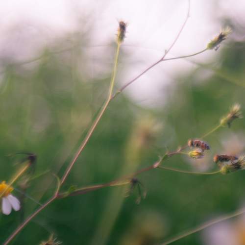 Photo #13598204