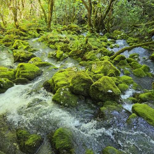 Photo #13598215