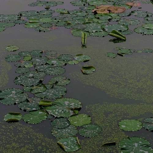 Photo #13598249