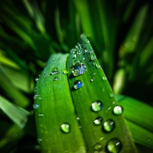 Photo #13598298