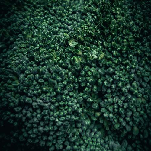 Photo #13598302