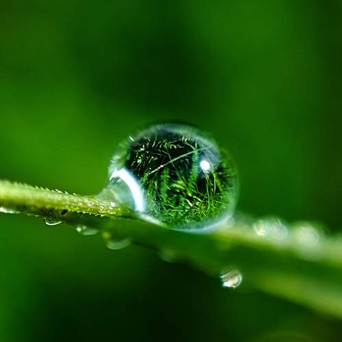 Photo #13598349