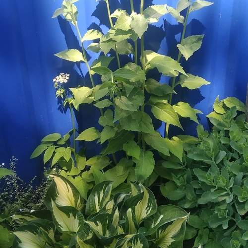 Photo #13598357