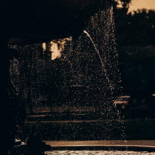 Photo #13598364