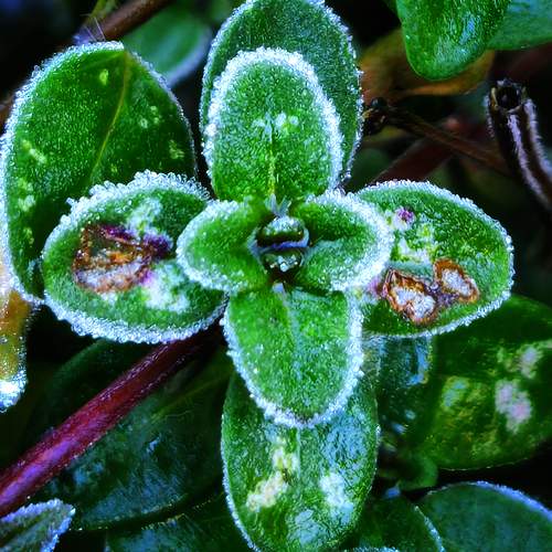 Photo #13598366