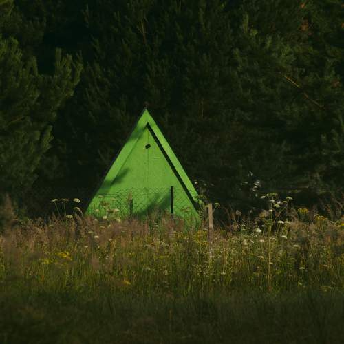Photo #13598395