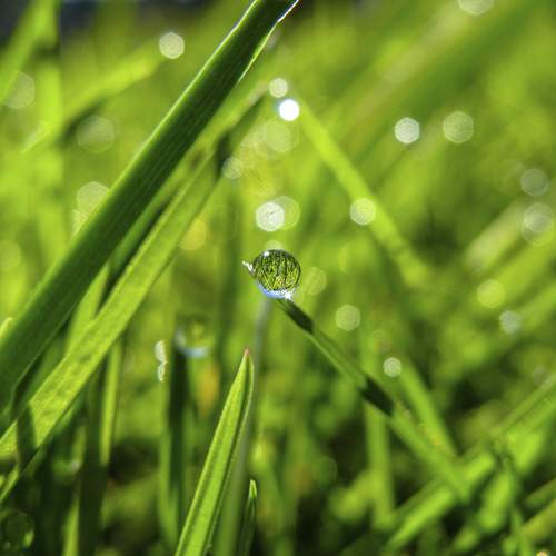 Photo #13598434
