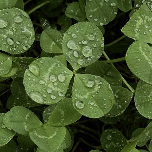 Photo #13598469