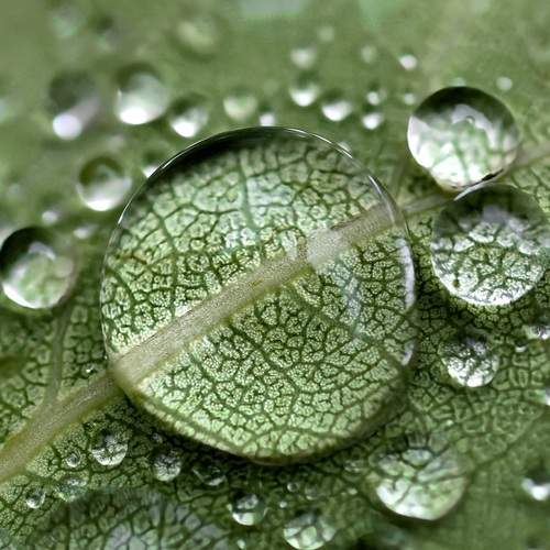Photo #13598578