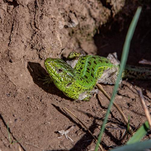 Photo #13598601