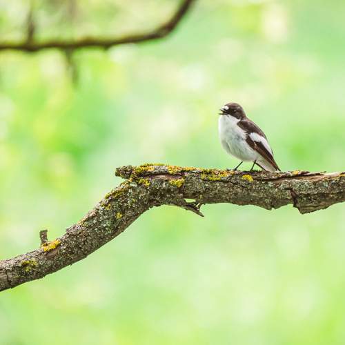 Photo #13598611