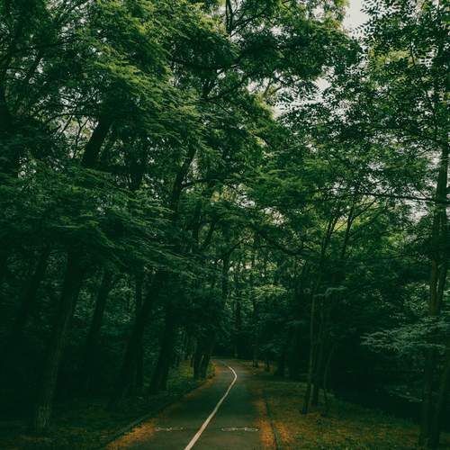 Photo #13598612