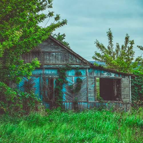 Photo #13598623