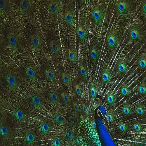 Photo #13598626