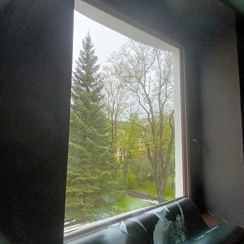 Photo #13598710