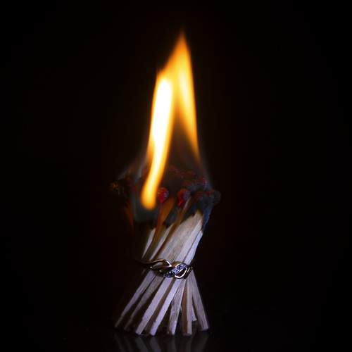 Photo #13598722