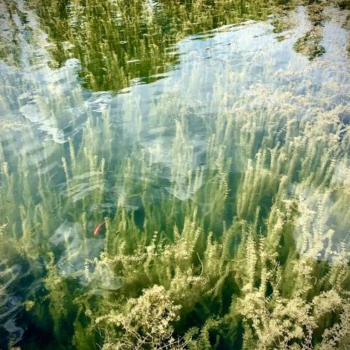 Photo #13598756