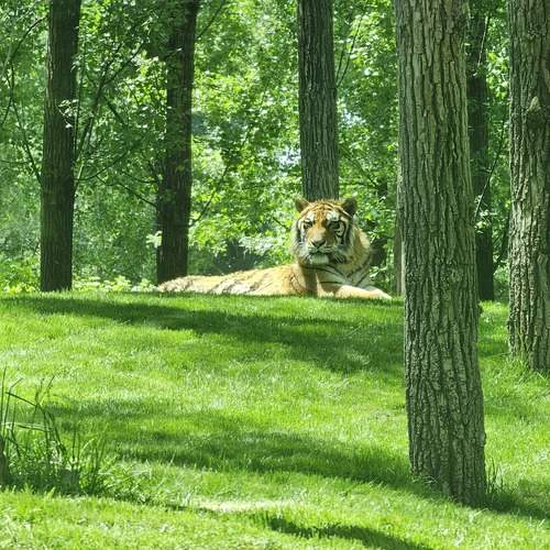 Photo #13598816