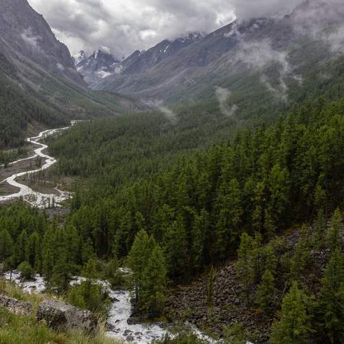 Photo #13598985