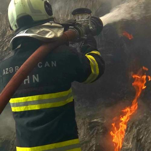 Photo #13599001