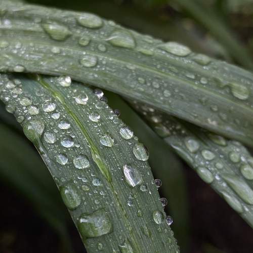 Photo #13599275