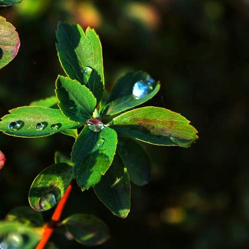 Photo #13599286