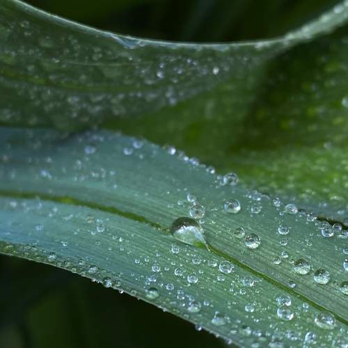 Photo #13599287