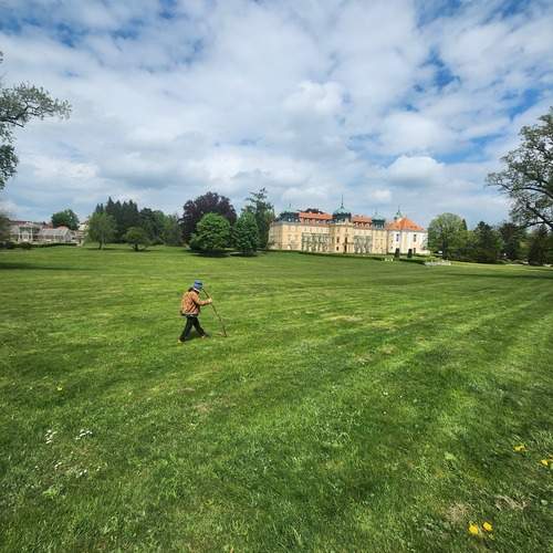 Photo #13599297