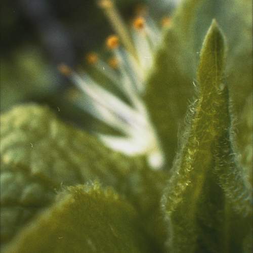 Photo #13599419