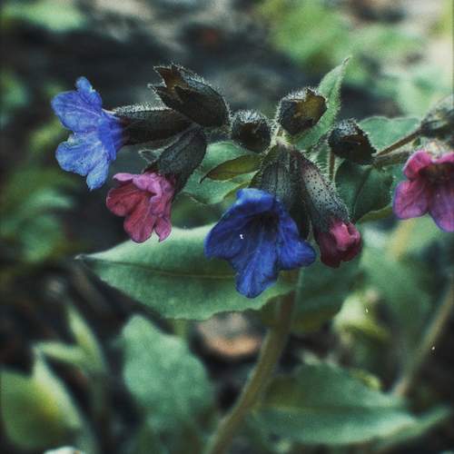 Photo #13599420