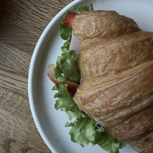 Photo #13599501