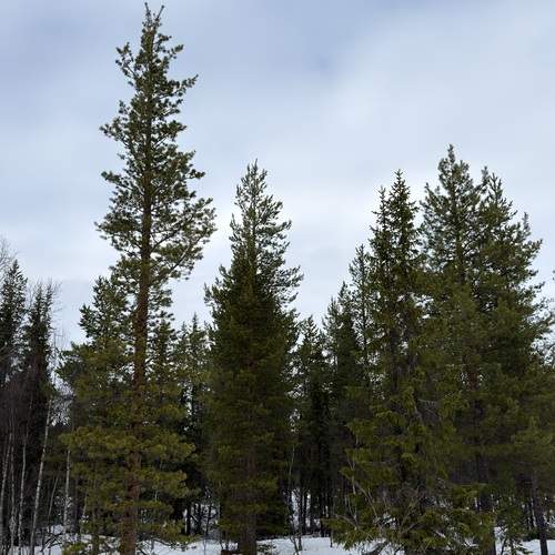 Photo #13599503