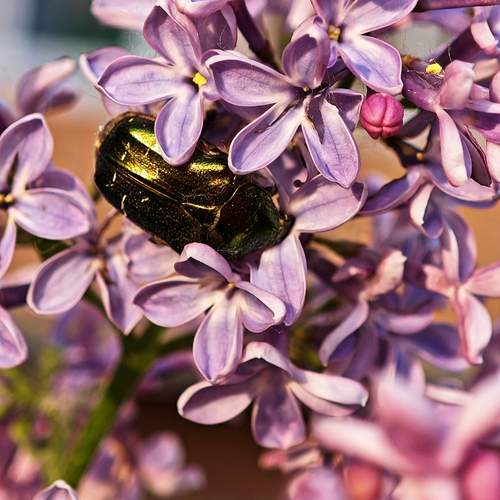 Photo #13599510