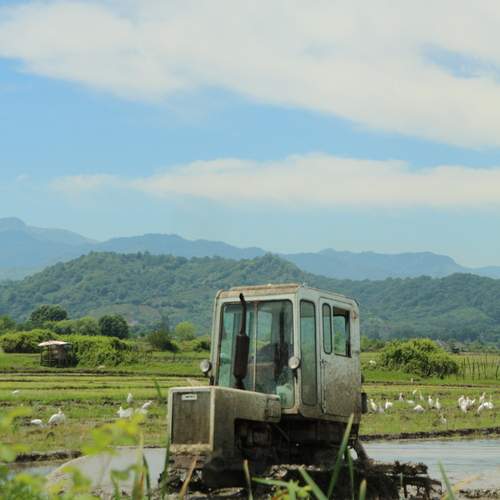 Photo #13599579