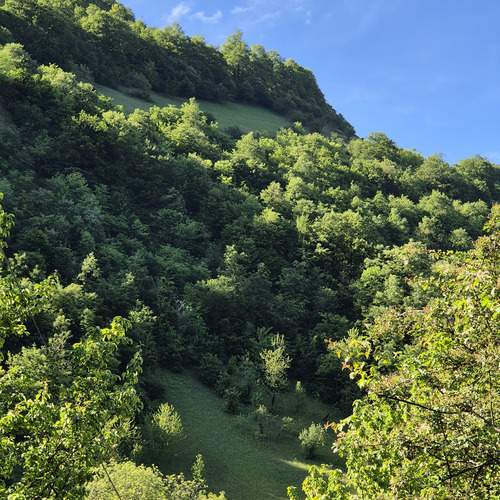 Photo #13599581