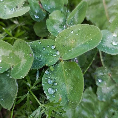 Photo #13599616