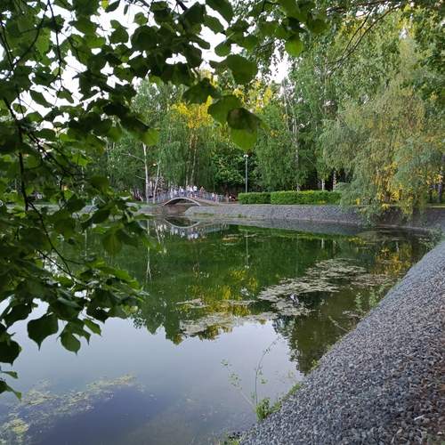 Photo #13599617