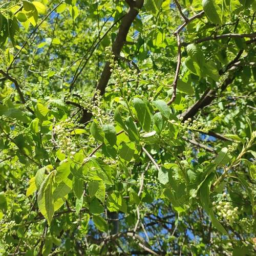 Photo #13599643