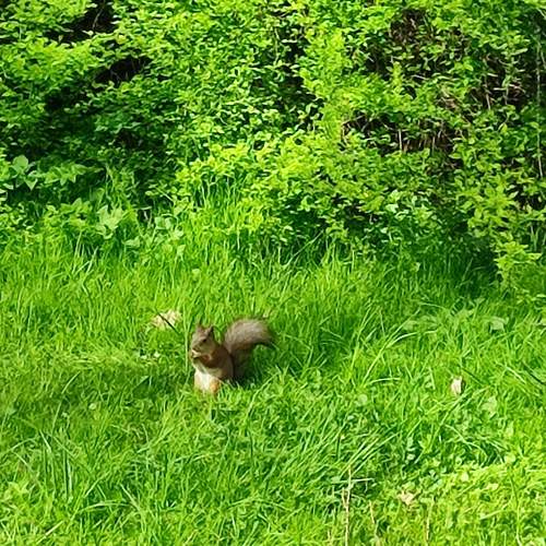 Photo #13599660