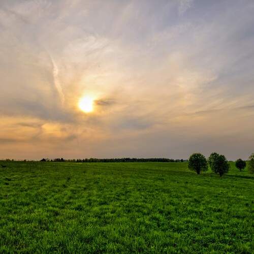 Photo #13599707