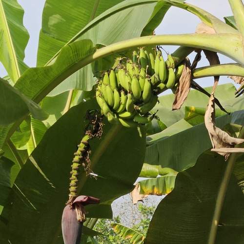 Photo #13599744