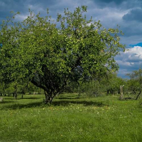 Photo #13599765